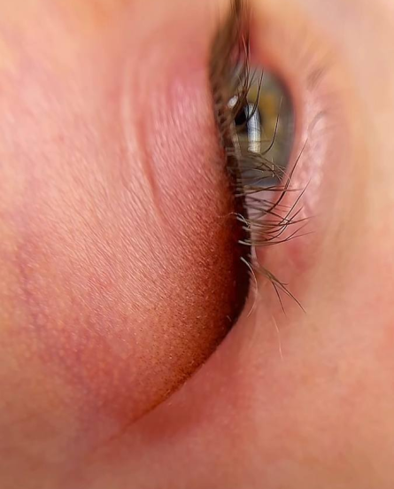 image (8)